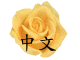 Chinese Version